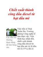 Chiết xuất thành công dầu diesel từ hạt dầu mè ppt