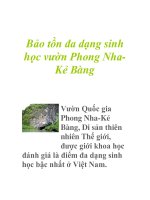 Bảo tồn đa dạng sinh học vườn Phong NhaKẻ Bàng potx