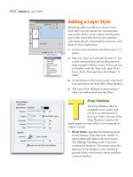 Understanding Adobe Photoshop CS4- P9 potx