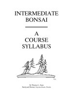 INTERMEDIATE BONSAI - Part 1 ppt