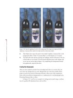 Photoshop Elements 3 Solutions: The Art of Digital Photography- P6 pptx