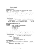 Bài giảng cơ học đất