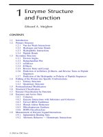 Enzyme structure and function pot