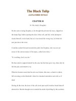 LUYỆN ĐỌC TIẾNG ANH QUA CÁC TÁC PHẨM VĂN HỌC –The Black Tulip ALEXANDRE DUMAS CHAPTER 10 docx