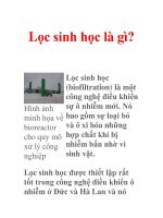 Lọc sinh học là gì? ppsx