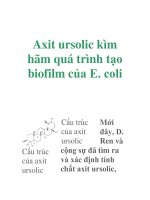 Axit ursolic kìm hãm quá trình tạo biofilm của E. coli pdf