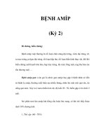 BỆNH AMÍP (Kỳ 2) pptx