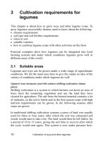 Cultivation of soya and other legumes - Part 2 pot