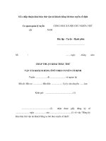 Mẫu chấp thuận khai thác thử vận tải khách bằng ôtô theo tuyến cố định ppsx