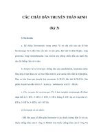 CÁC CHẤT DẪN TRUYỀN THẦN KINH (Kỳ 3) pot