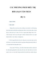 CÁC PHƯƠNG PHÁP ĐIỀU TRỊ RỐI LOẠN TÂM THẦN (Kỳ 1) potx