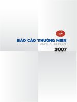 Báo cáo Kinh tế Việt Nam năm 2007 pot
