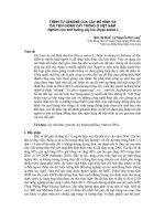 Trình tự genome của cây mô hình và cải tiến giống cây trồng ở Việt Nam