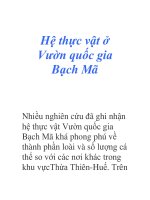 Hệ thực vật ở Vườn quốc gia Bạch Mã docx