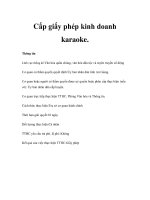 Cấp giấy phép kinh doanh karaoke. pot