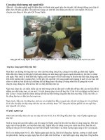 Cảm phục một người thầy