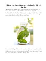 Những tác dụng đáng quý của bạc hà đối với sắc đẹp docx