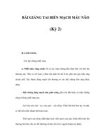 BÀI GIẢNG TAI BIẾN MẠCH MÁU NÃO (Kỳ 2) doc