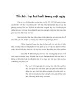 Tổ chức học hai buổi trong một ngày docx