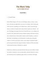 LUYỆN ĐỌC TIẾNG ANH QUA CÁC TÁC PHẨM VĂN HỌC –The Black Tulip ALEXANDRE DUMAS CHAPTER 1 ppsx