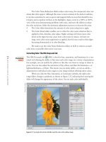 Photoshop cs5 cho nhiếp ảnh gia part 20 docx