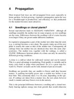 Fruit growing in the tropics - Part 4 docx