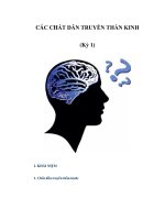 CÁC CHẤT DẪN TRUYỀN THẦN KINH (Kỳ 1) ppt