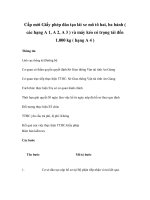 Cấp mới Giấy phép đào tạo lái xe mô tô hai, ba bánh ( các hạng A 1, A 2, A 3 ) và máy kéo có trọng tải đến 1.000 kg ( hạng A 4 ) potx