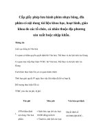 Cấp giấy phép lưu hành phim nhựa băng, đĩa phim có nội dung tài liệu khoa học, hoạt hình, giáo khoa do các tổ chức, cá nhân thuộc địa phương sản xuất hoặc nhập khẩu. pptx