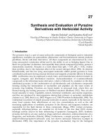 Synthesis and Evaluation of Pyrazine Derivatives with Herbicidal Activity
