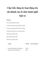 Cấp Giấy đăng ký hoạt động cho chi nhánh của tổ chức hành nghề luật sư pot