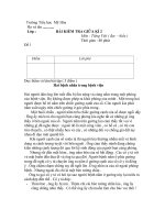 đề thi toán 5 giữa kì 2