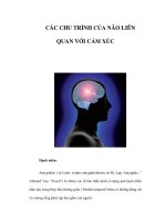 CÁC CHU TRÌNH CỦA NÃO LIÊN QUAN VỚI CẢM XÚC pdf