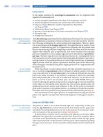 Spinal Disorders: Fundamentals of Diagnosis and Treatment Part 25 ppt