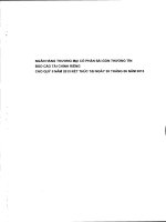 ngân hàng thương mại cổ phần sài gòn thương tín báo cáo tài chính riêng cho quý 2 năm 2013 kết thúc tại ngày 30 tháng 6 năm 2013