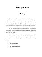 Viêm gan mạn (Kỳ 1) ppt