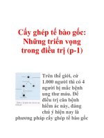 Cấy ghép tế bào gốc: Những triển vọng trong điều trị (p-1) ppsx