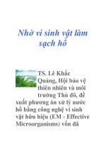 Nhờ vi sinh vật làm sạch hồ pot