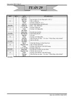 Tuan 29 - Lop 5 - CKT