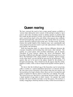 Bees And Honey - Part 8 pdf