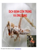 Bài giảng dịch bệnh côn trùng - Khái niệm potx