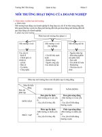 Môi trường hoạt động của doanh nghiệp potx