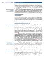 Spinal Disorders: Fundamentals of Diagnosis and Treatment Part 6 docx