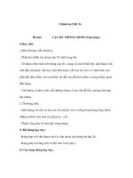 Chính tả lớp 3 - CẬU BÉ THÔNG MINH (Tập chép) pot