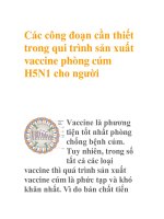 Các công đoạn cần thiết trong qui trình sản xuất vaccine phòng cúm H5N1 cho người potx