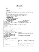 GIÁO ÁN LỚP 1 TUẦN 28 CKTKN
