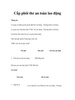 Cấp phôi thẻ an toàn lao động pptx