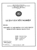 Tìm hiểu và mô phỏng các giải thuật định tuyến mạng wan