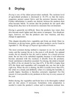 Preservation of fruit and vegetables - Part 3 potx