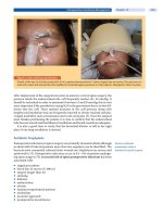 Spinal Disorders: Fundamentals of Diagnosis and Treatment Part 42 doc